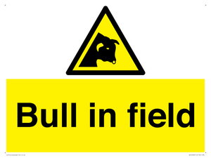 Bull in field